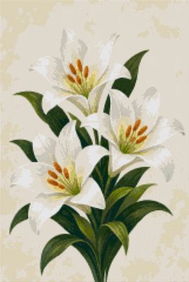 White Lilies
