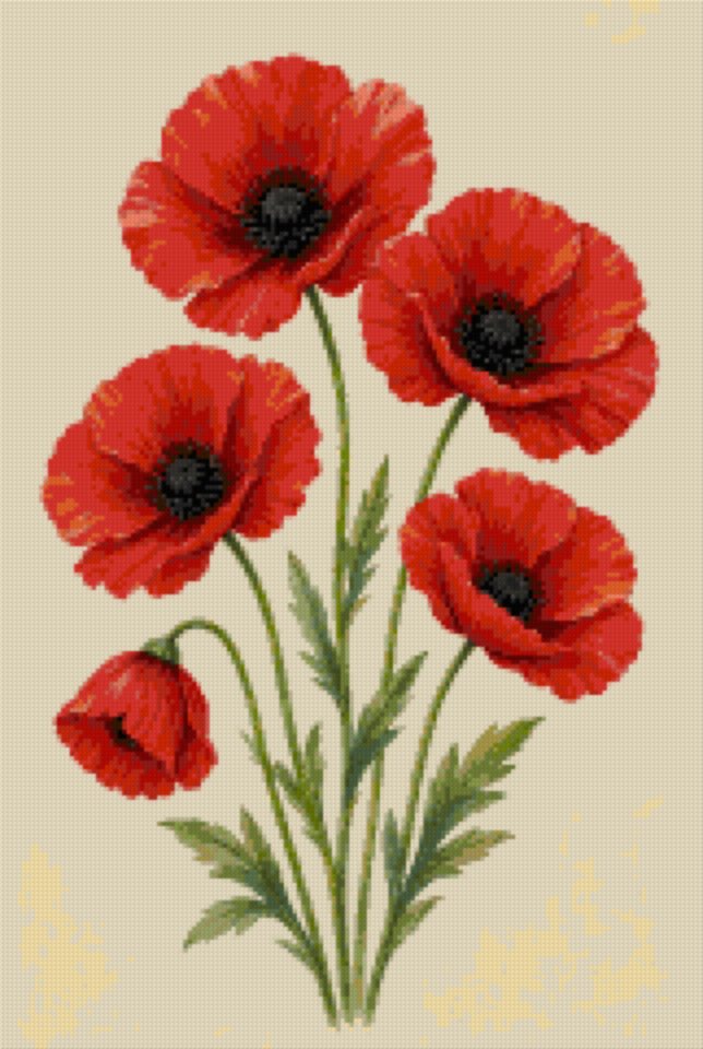 Field Poppies