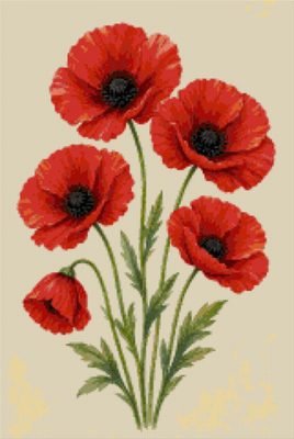 Field Poppies