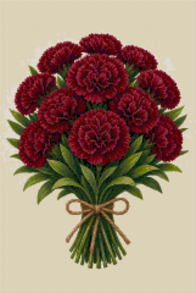 Burgundy Carnations