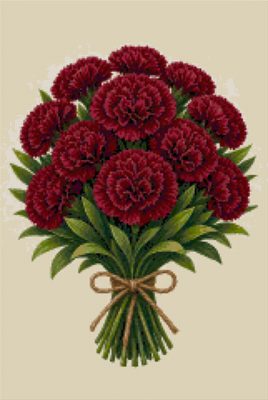 Burgundy Carnations