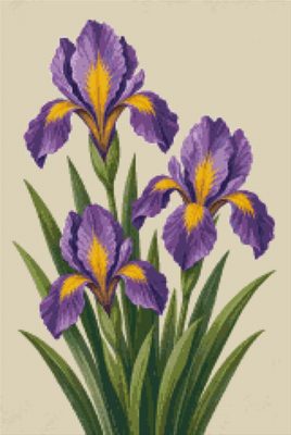 Irises