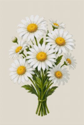 Field Daisies