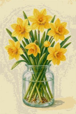 Daffodils in a Jar