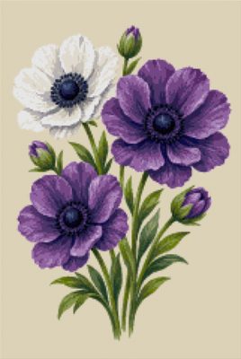 Anemone