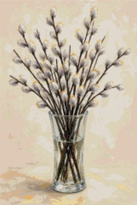 Pussy Willow