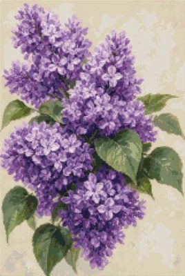 A Branch of Lilac