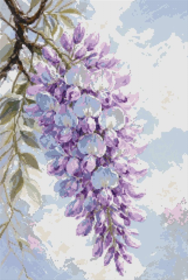 Wisteria