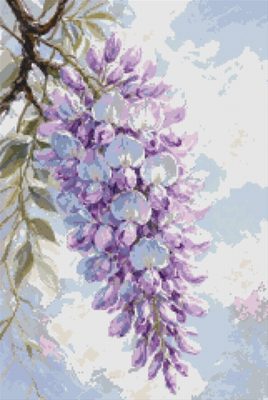 Wisteria