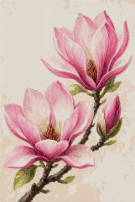 A Magnolia