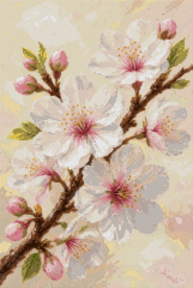 Cherry Blossom