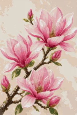 A Pink Magnolia