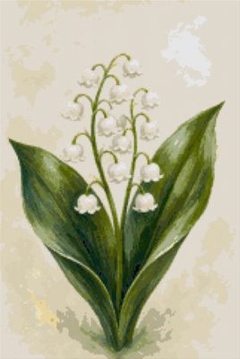 Lily of the Valley on a Pale Ground