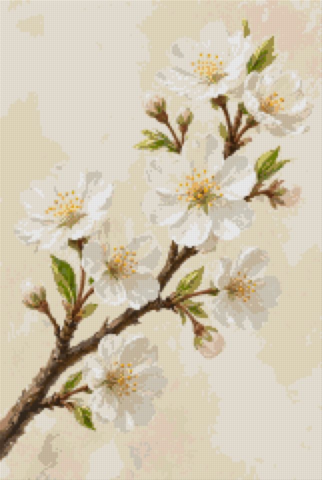 White Cherry Blossom
