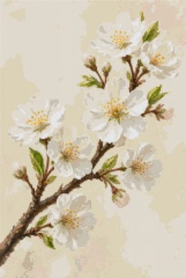 White Cherry Blossom