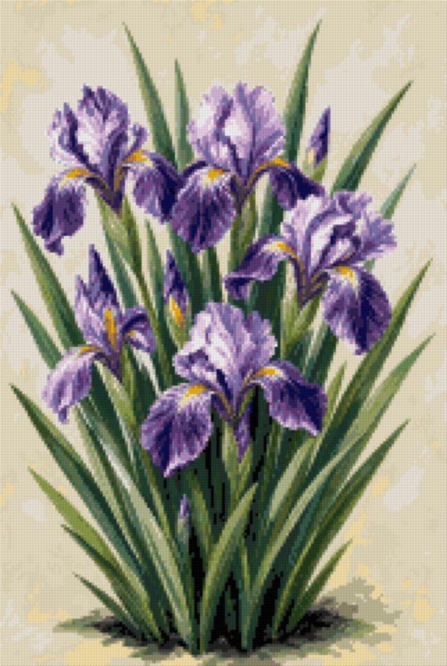 A Study of Violet Irises