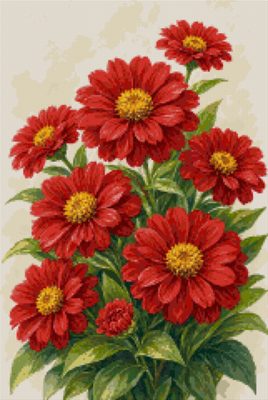 Zinnii roșii