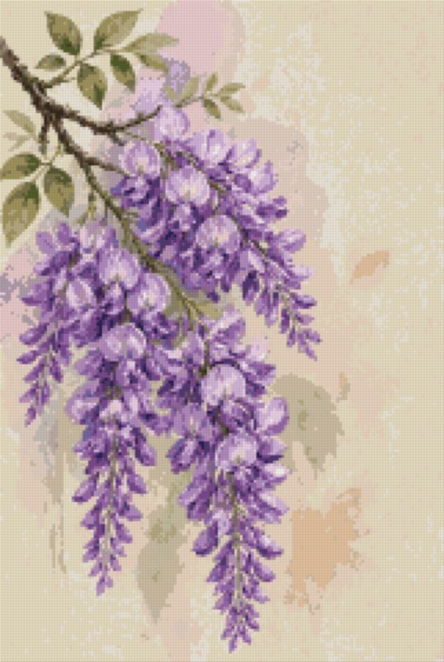 Violet Wisteria