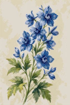 Blue Delphiniums
