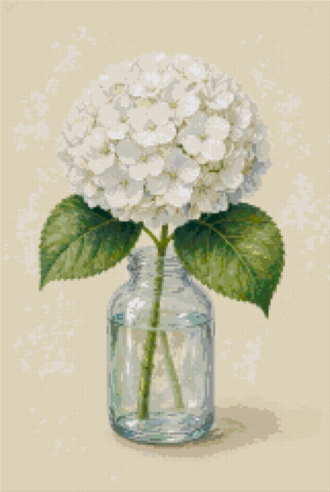 A White Hydrangea