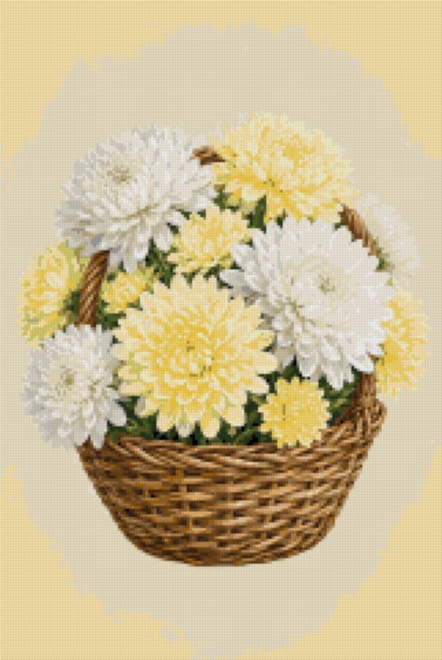 White Chrysanthemums