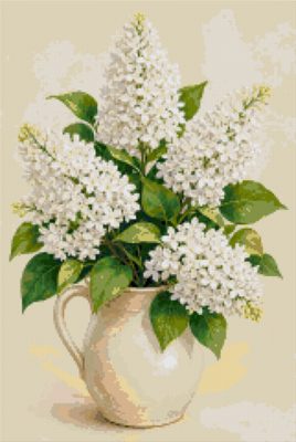 Liliac alb