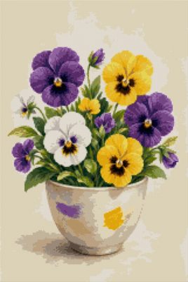 Pansies