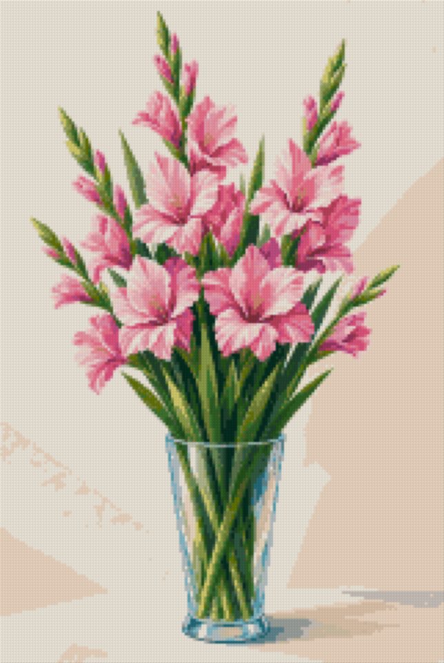 Pink Gladioli