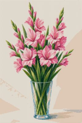 Pink Gladioli