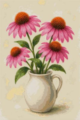 Pink Echinacea