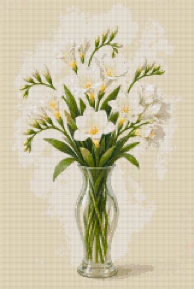 White Freesias
