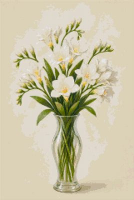 White Freesias