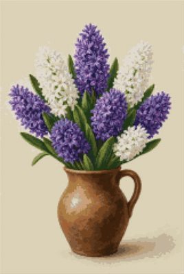 Violet and White Hyacinths