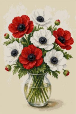 Red and White Anemones