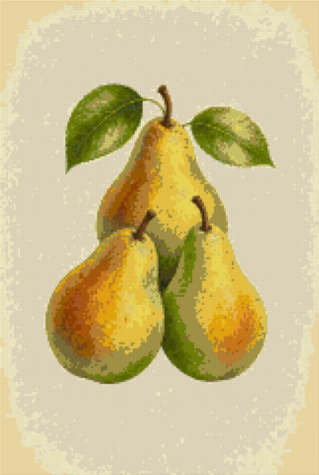 Pears on the Branch