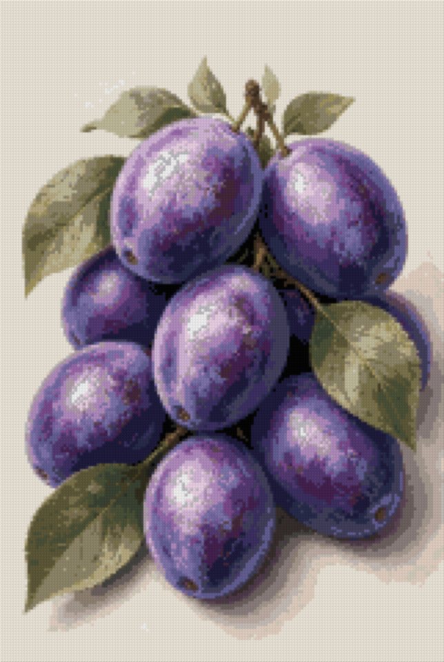 Violet Plums