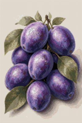 Prune violete