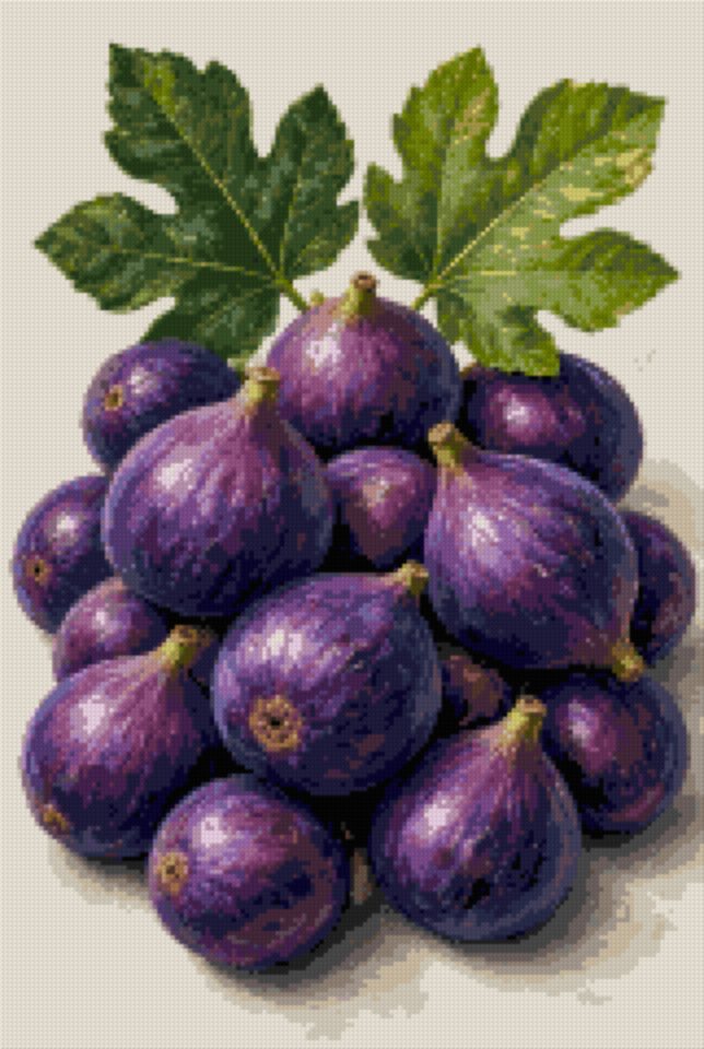 Violet Figs