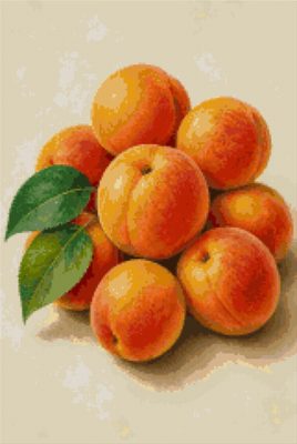 Apricots with Leaves