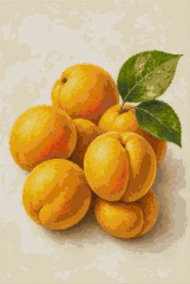 Yellow Apricots