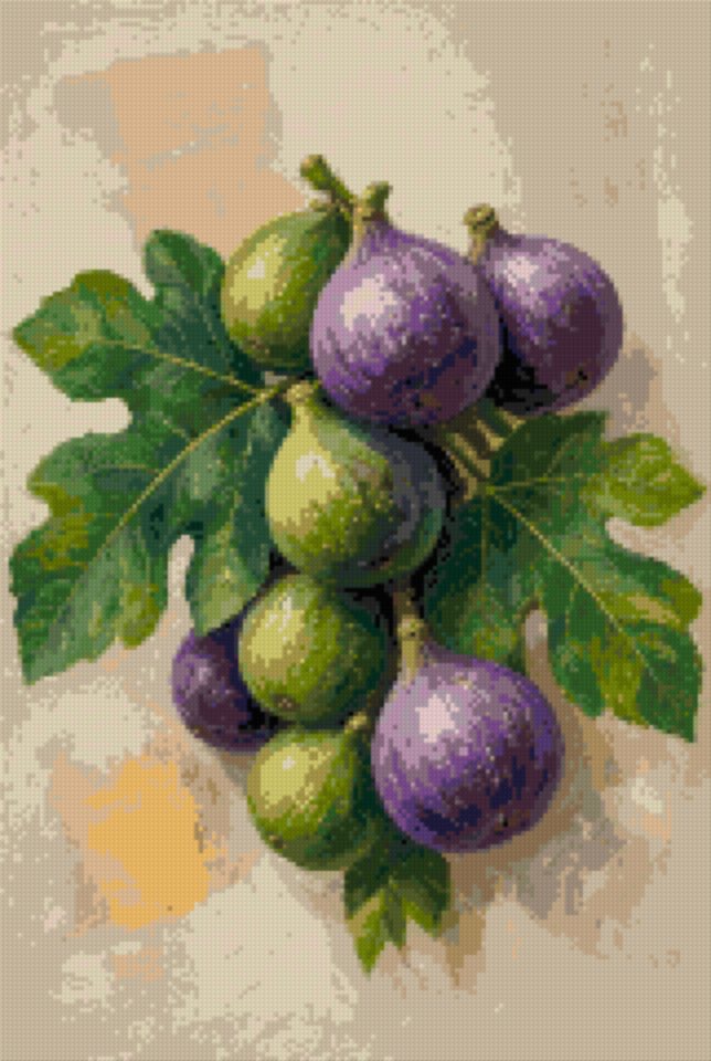 Figs on the Branch