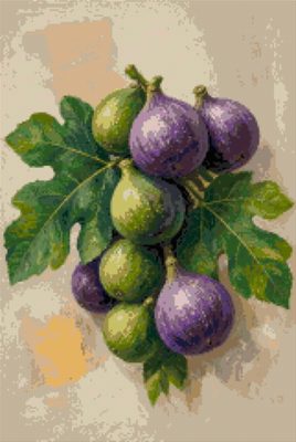 Figs on the Branch