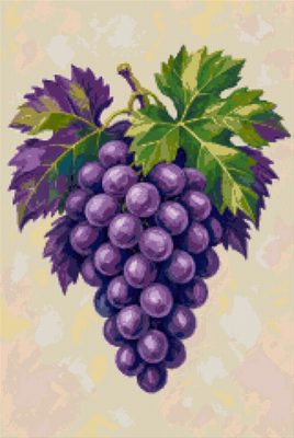 Violet Grapes