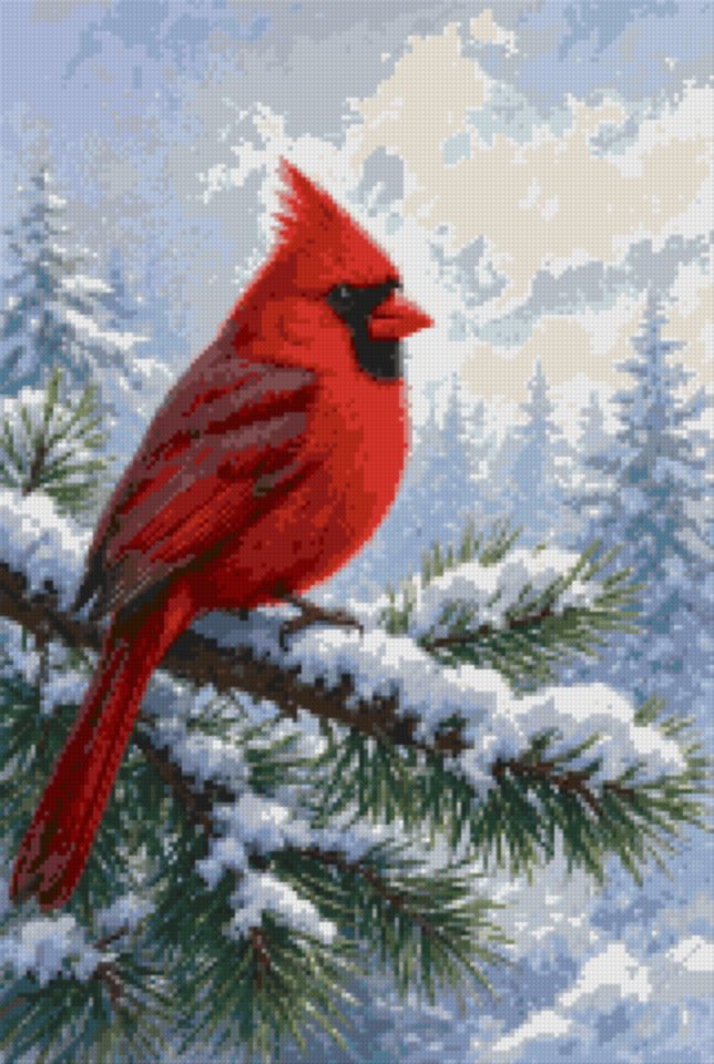 A Cardinal on a Fir Branch