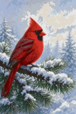 A Cardinal on a Fir Branch