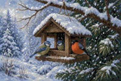 A Bird Feeder