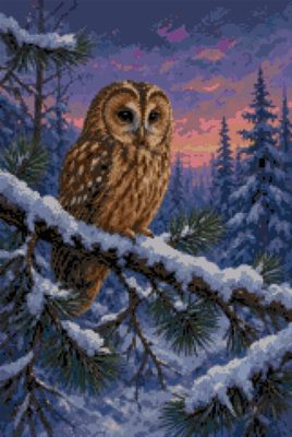 An Owl in Winter