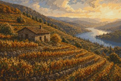 Vineyards in Autumn
