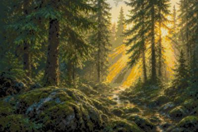 A Spruce Wood after Rain