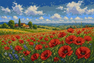 A Poppy Field with a Village